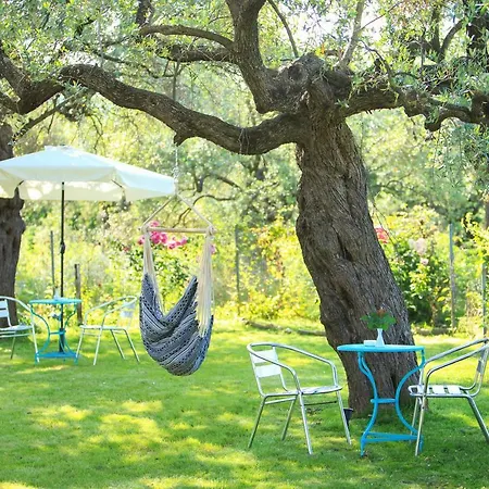 The Olive Garden Διαμέρισμα *