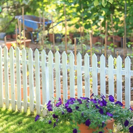 Apartment The Olive Garden Limenas (Thasos)