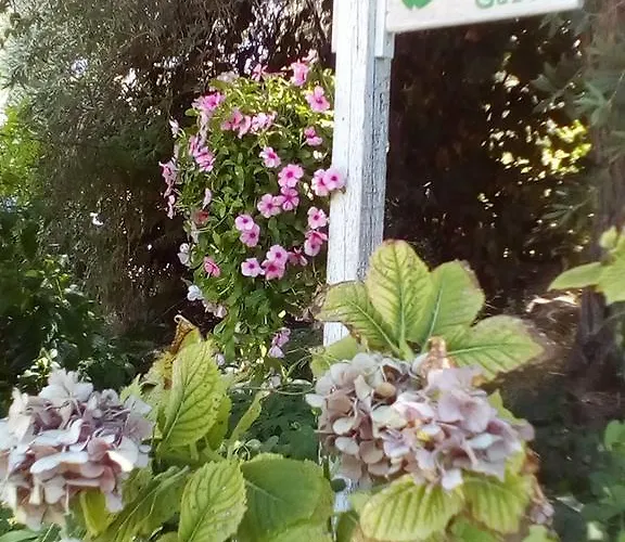 公寓 The Olive Garden 萨索斯