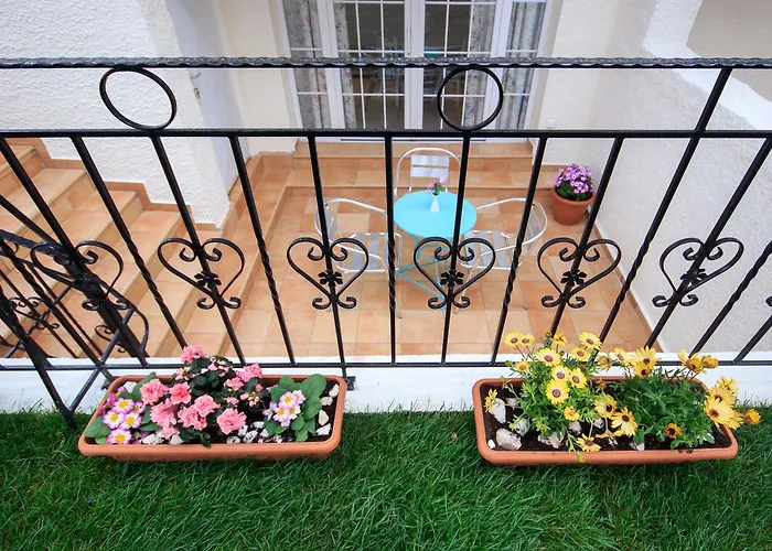 公寓 The Olive Garden *