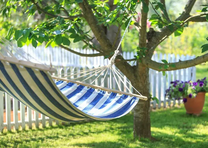 The Olive Garden 萨索斯